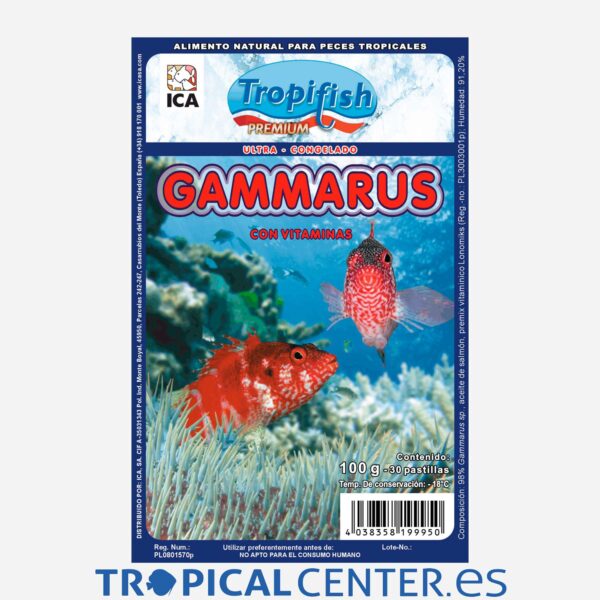 con11-gammarus-100gr_general_5016.jpg