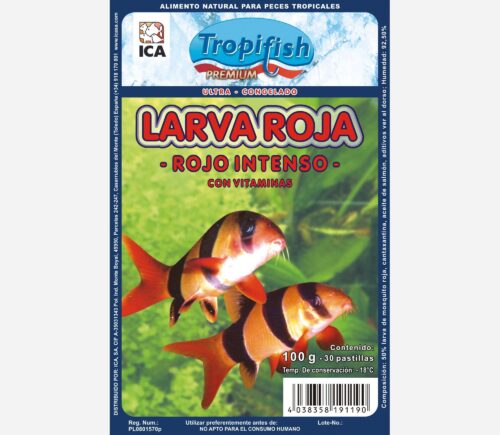 Larva roja rojo intenso