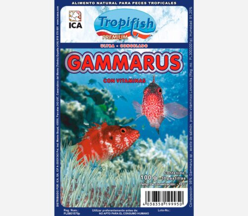 Gammarus 100gr