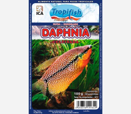Daphnia 100gr