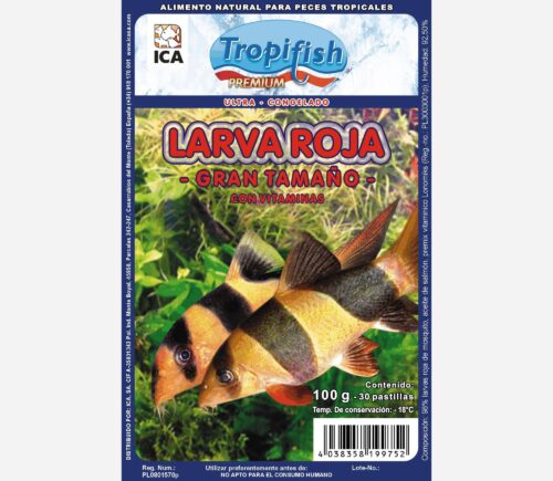 Larva roja de mosquitos grande 100gr