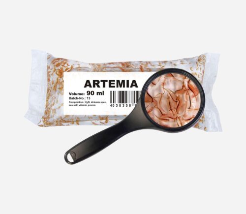 Bolsa artemia