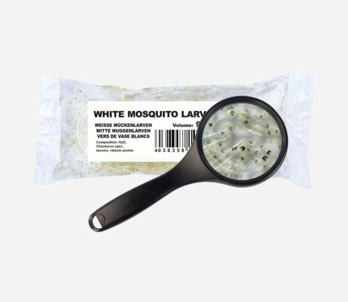 Bolsa larva cristal