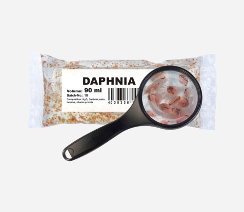 Bolsa daphnia