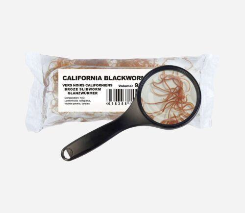 Bolsa gusano negro de California